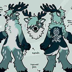 ✦ REFERENCES