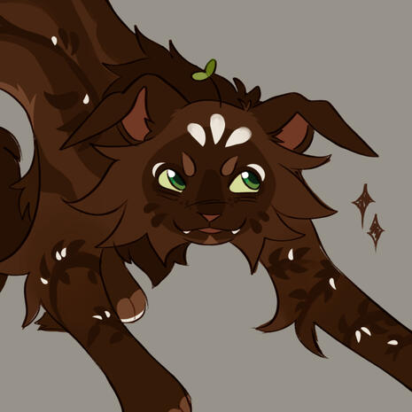 ✦ SKETCH FULL
